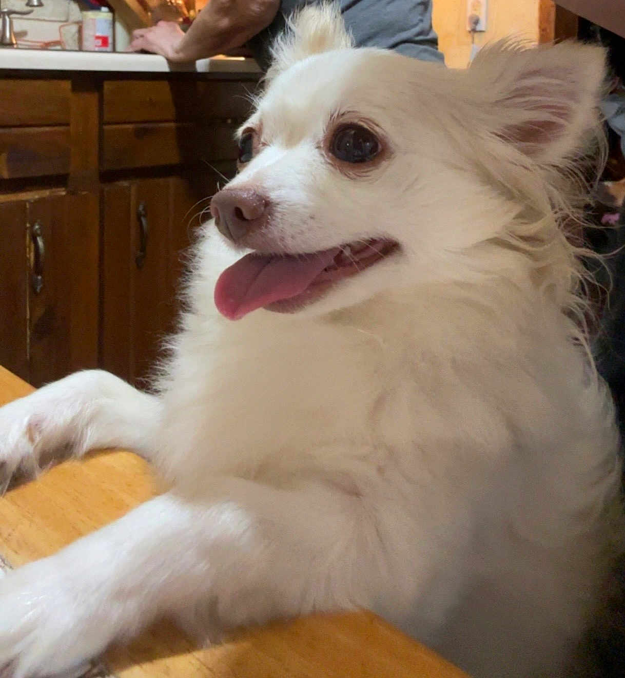Maggy