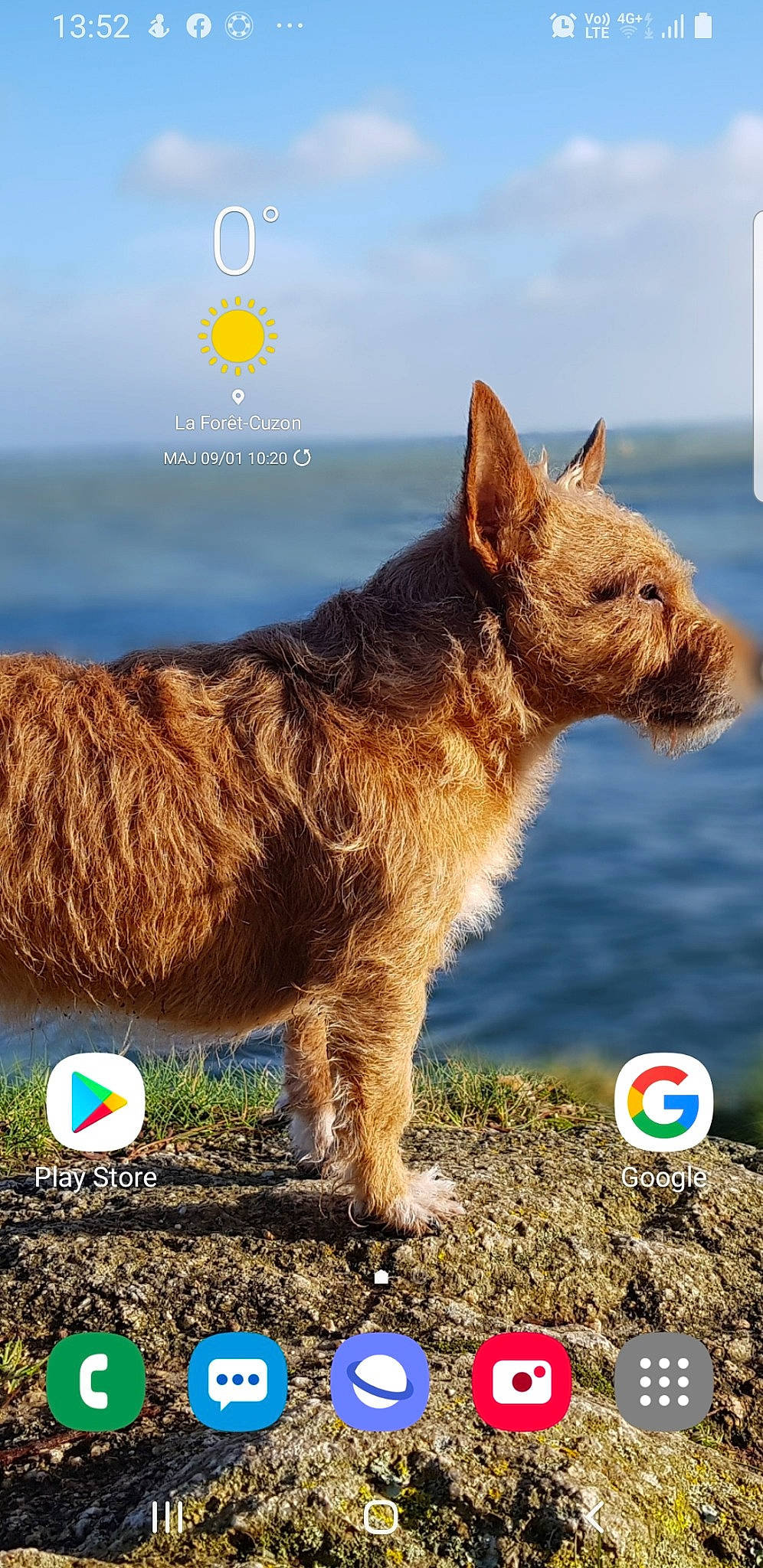 Mystic participe au concours pour gagner de l'argent avec cette photo : ball, blue, carnivore, cloud, companion_dog, dog, dog_breed, dog_sports, dog_supply, grass, grassland, happy, morning, natural_landscape, people_in_nature, photo_caption, sky, travel, water, working_animal