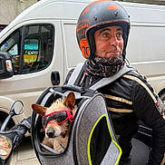 Mystic participe au concours pour gagner de l'argent avec cette photo : accessory, animal, carrier, casual, cool, dog, fun, helmet, man, motorbike, outdoor, pet, riding, scarf, street, sunglasses, transport, travel, urban, van