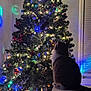 Kuruchona joined the competition — help win amazing prizes! cat, christmas_tree, lights, ornaments, indoor, holiday, decorations, feline, festive, colorful, reflection, wall, table, night, celebration, pet, animal, fur, seated, curious