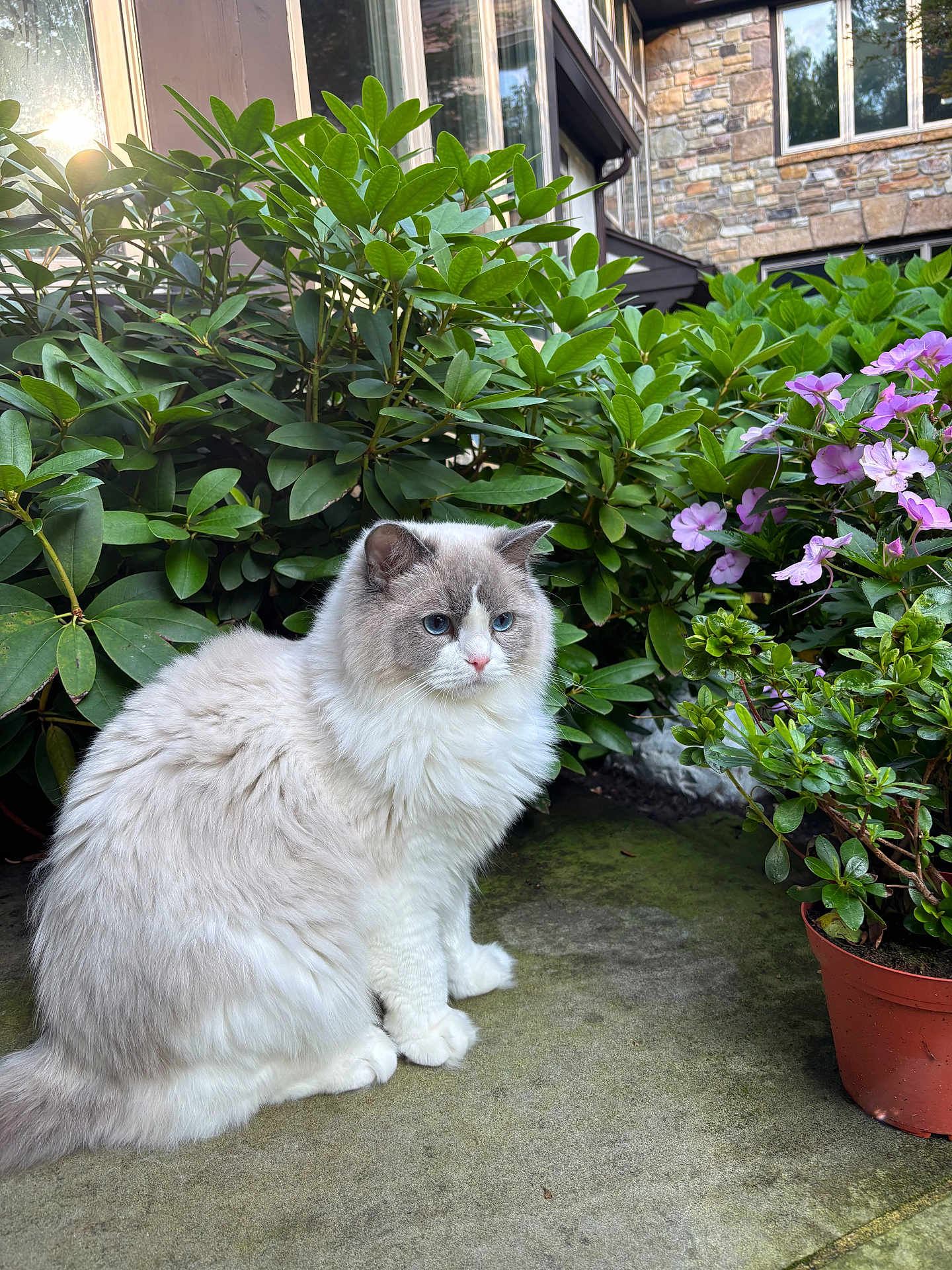 Luna