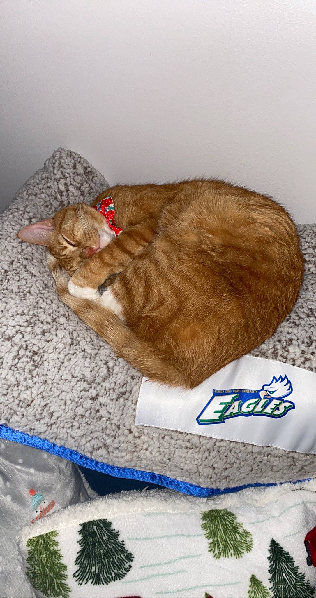 Sebastian joined the competition — help win amazing prizes! art, canidae, carnivore, cat, claw, comfort, domestic_short_haired_cat, drawing, fawn, felidae, fur, liver, nap, painting, small_to_medium_sized_cats, snout, sporting_group, tail, whiskers, working_animal