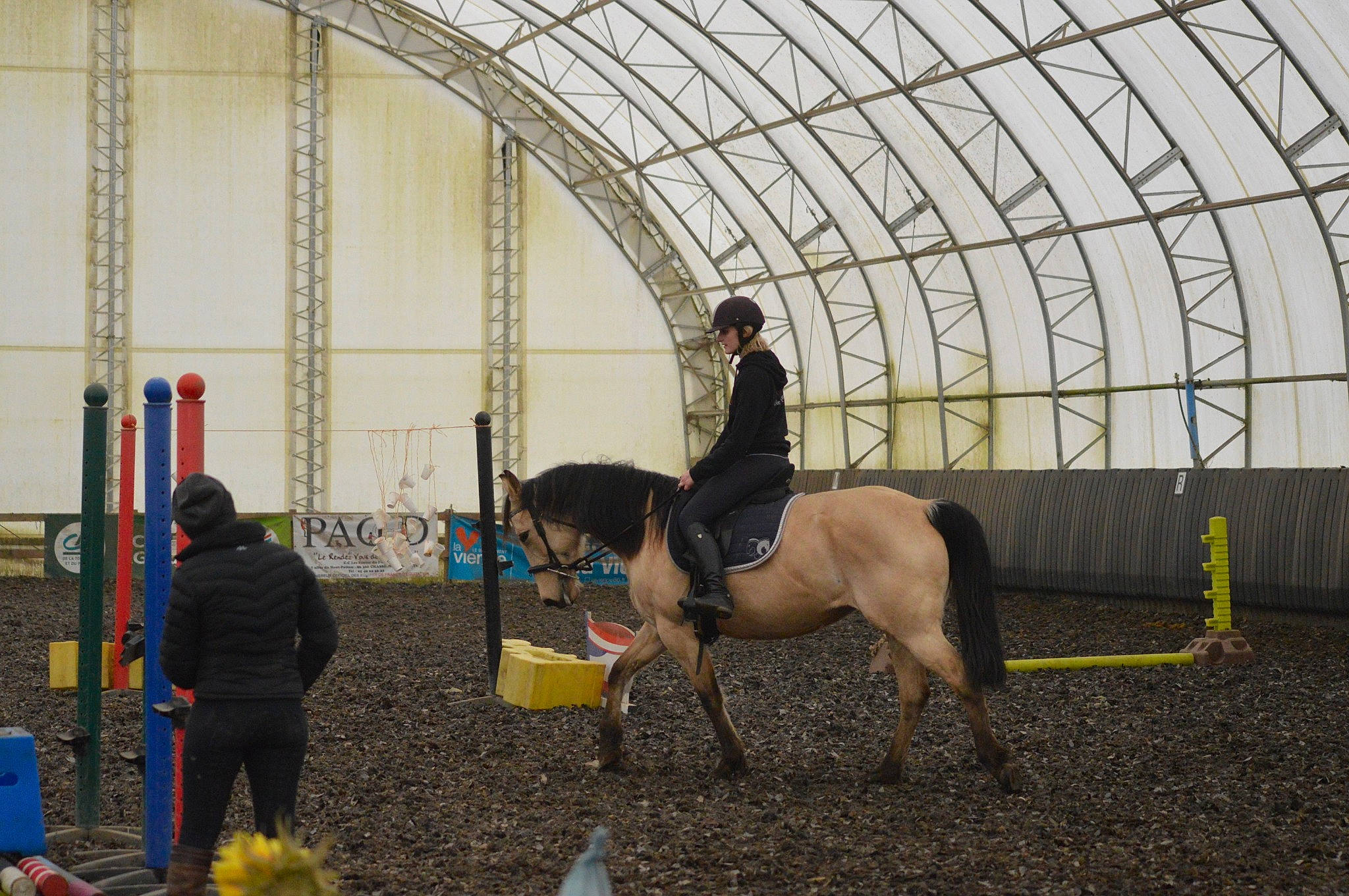 éclaire participe au concours pour gagner de l'argent avec cette photo : animal_sports, bridle, english_riding, equestrian, equestrian_sport, equestrianism, equitation, eventing, halter, horse, horse_supplies, horse_tack, hunt_seat, mammal, mane, mare, recreation, rein, show_jumping, stallion