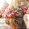 animal, bedroom, blanket, cat, close_up, cute, dessert, fluffy, food, ice_cream, indoor, kitten, pet, pink_bow, playful, portrait, sprinkles, strawberry, vanilla, waffle_cone