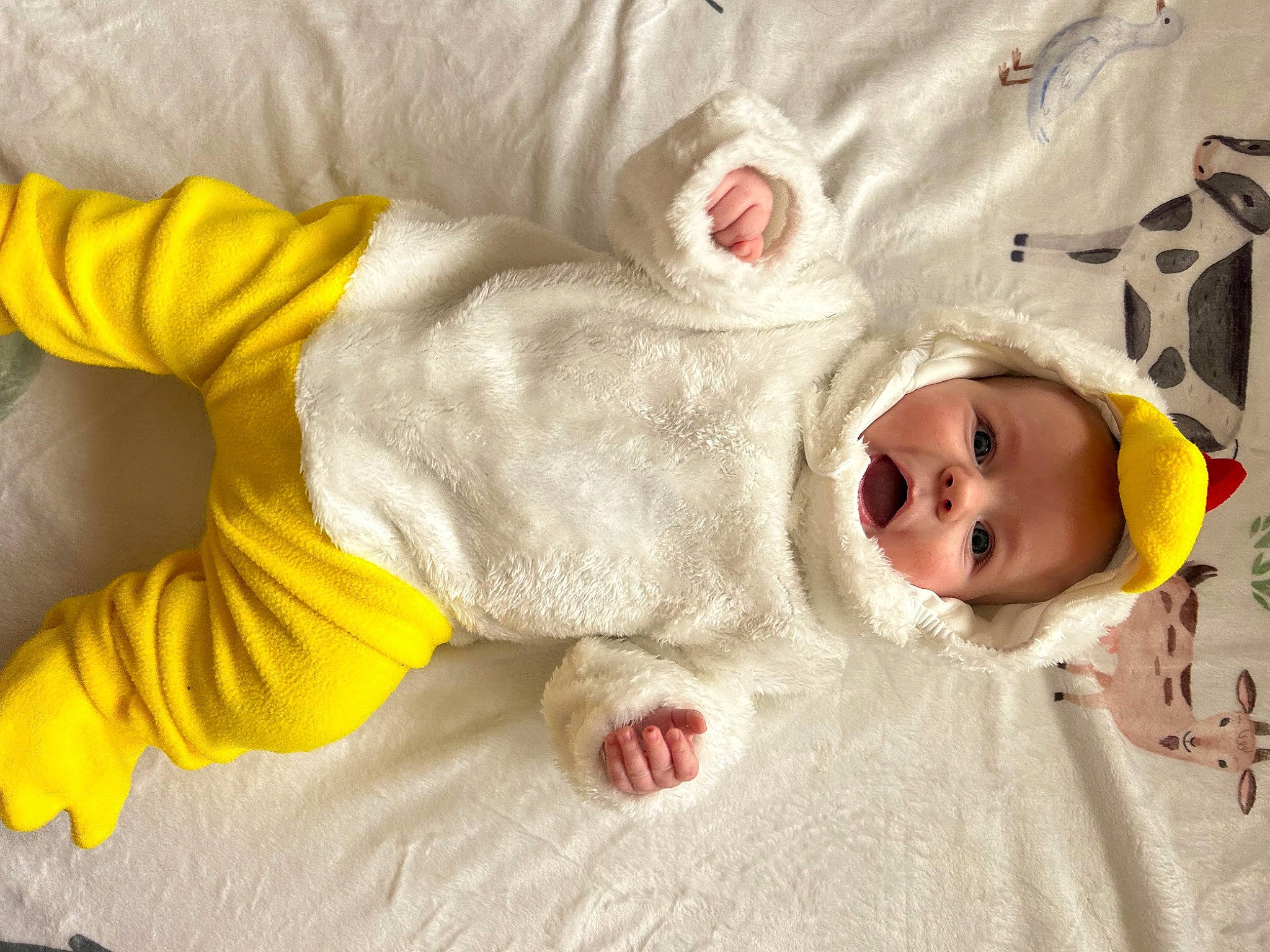 Isla joined the competition — help win amazing prizes! baby, baby_products, baby_safety, baby_sleeping, baby_toddler_clothing, bed_sheet, bedding, bedtime, cheek, child, comfort, flooring, fur, gesture, linens, person, room, skin, sleeve, textile