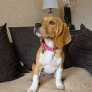 Gucci participe au concours pour gagner de l'argent avec cette photo :