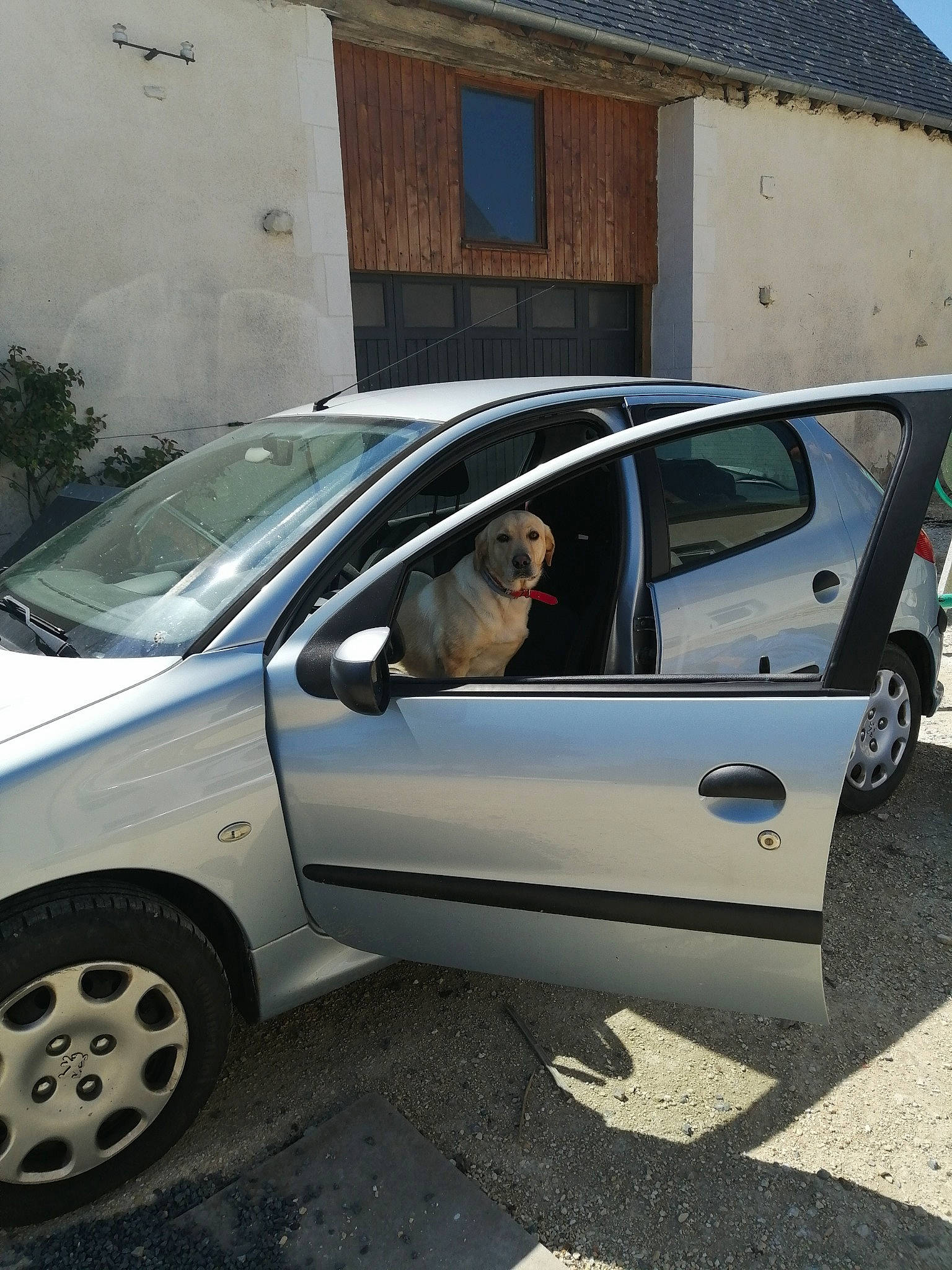 Orlie a rejoint le concours — aidez-le/la à gagner de superbes lots ! car, city_car, compact_car, coupe, family_car, hatchback, land_vehicle, peugeot, peugeot_, subcompact_car, vehicle