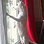 dog, white_dog, standing, glass_door, curtain, red_curtain, window, indoor, floor, light, pet, looking_out, animal, domestic_animal, home, wooden_floor, door_handle, tail, ears, alert