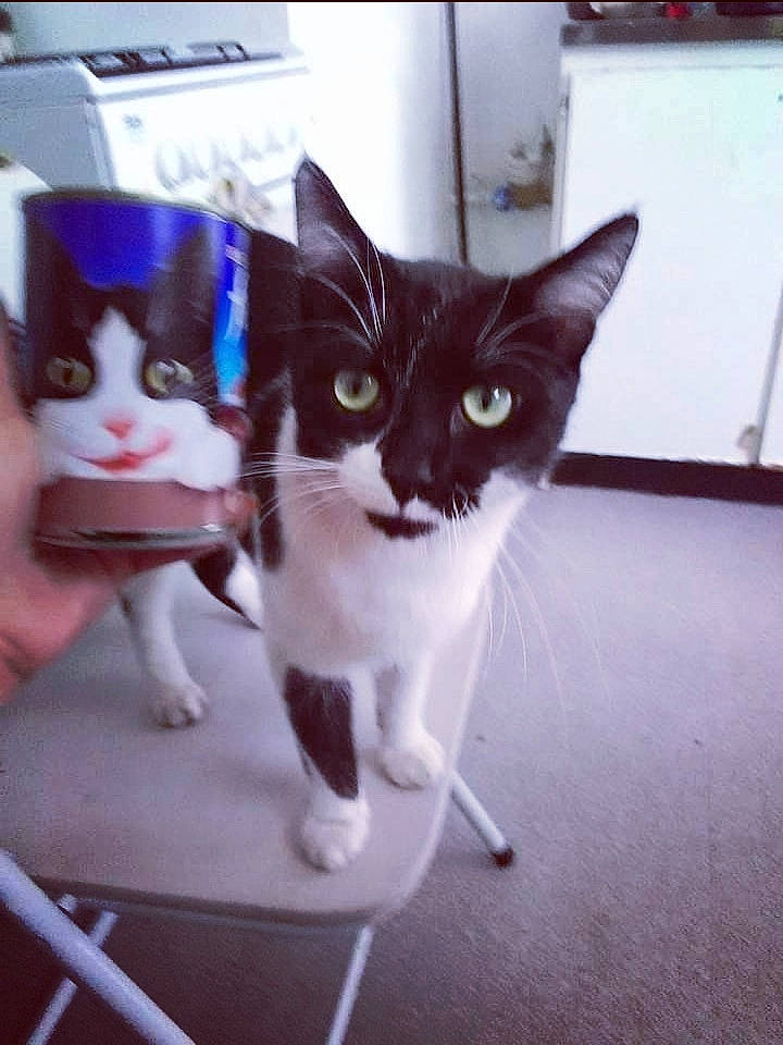 Milka