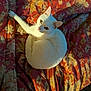 cat, white_cat, pet, animal, feline, bed, blanket, quilt, floral_pattern, red, yellow, cozy, curled_up, resting, indoor, soft_light, shadows, cute, looking_up, warm