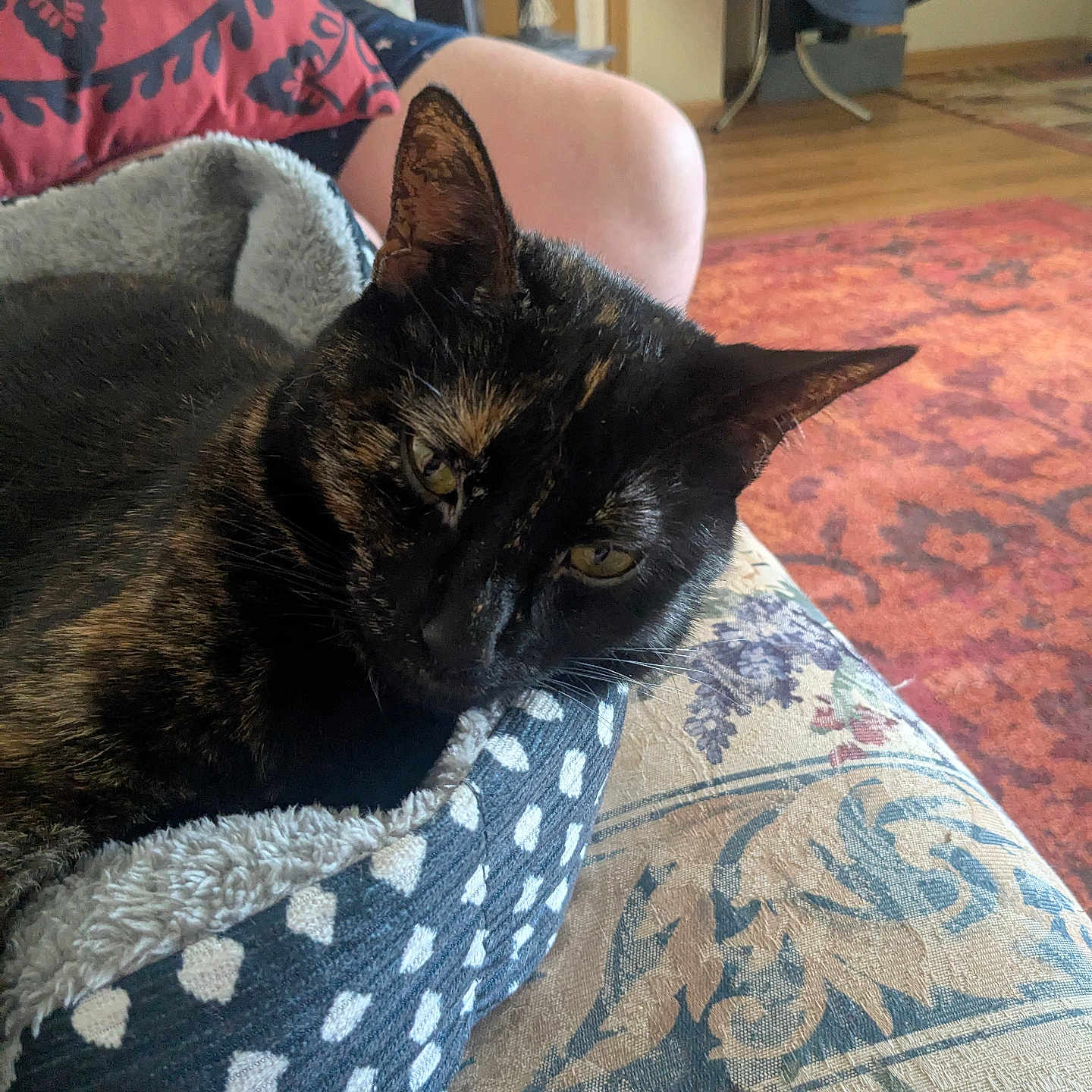 Tortellini
