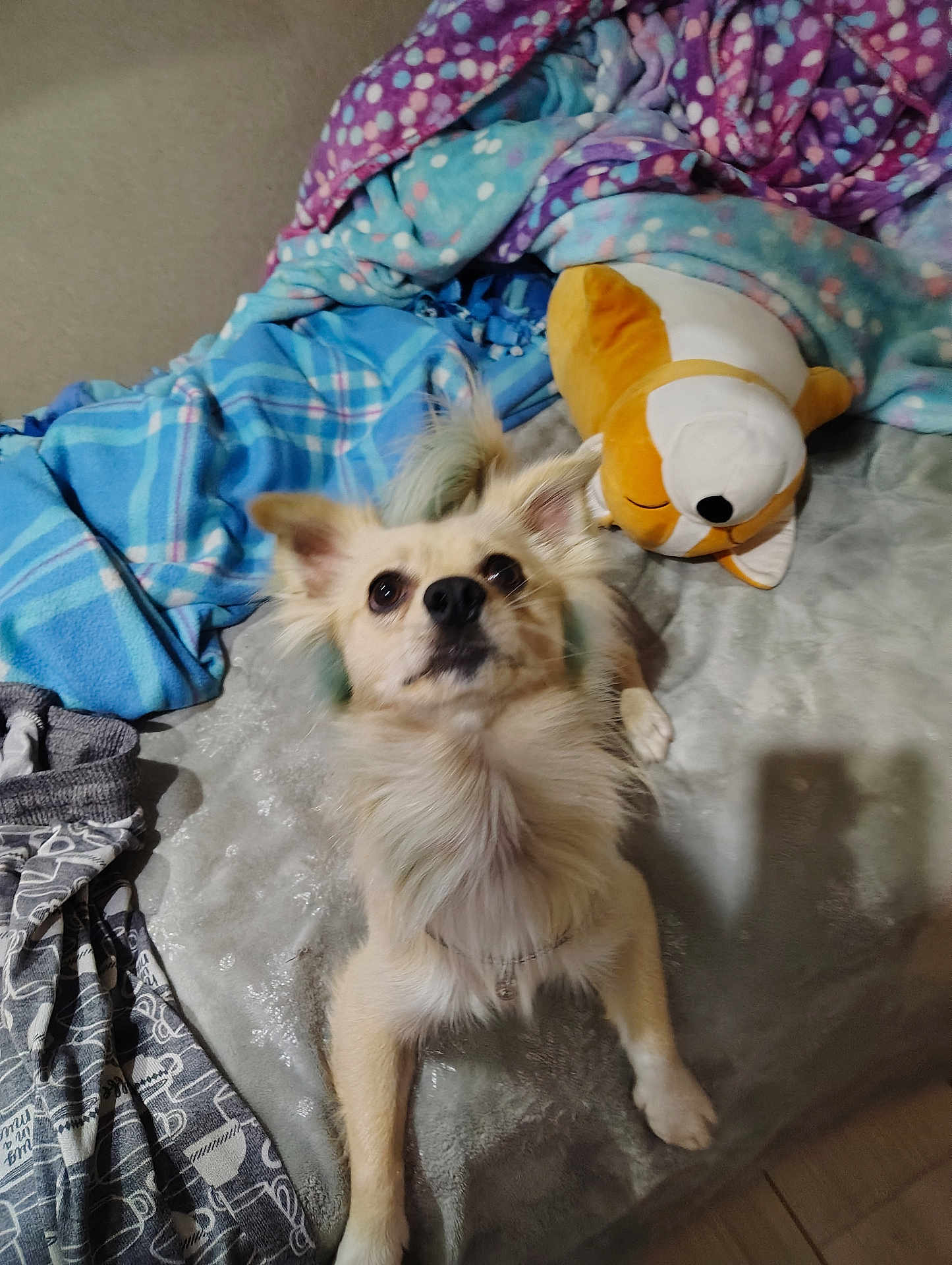 Guero