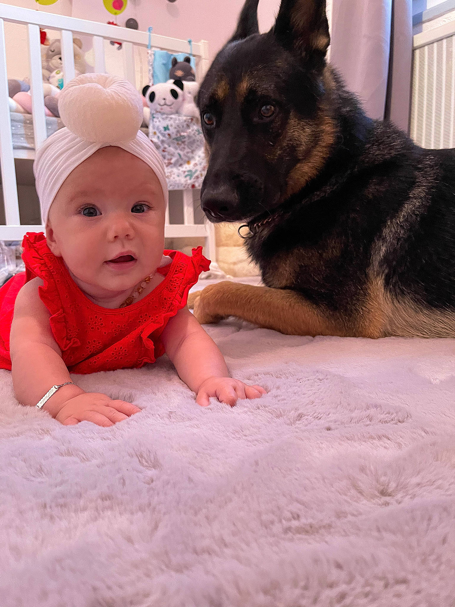 Jade a rejoint le concours — aidez-le/la à gagner de superbes lots ! baby, baby_toddler_clothing, cap, carnivore, companion_dog, dog, dog_breed, fawn, flooring, fun, fur, german_shepherd_dog, happy, herding_dog, king_shepherd, organ, person, sitting, snapshot, toddler