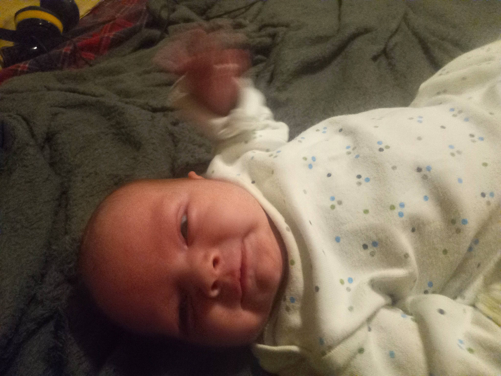 Lilly joined the competition — help win amazing prizes! baby, baby_products, baby_safety, baby_sleeping, baby_toddler_clothing, bedtime, cheek, child, comfort, eye, eyebrow, grass, linens, nap, nose, person, skin, sleeve, toddler