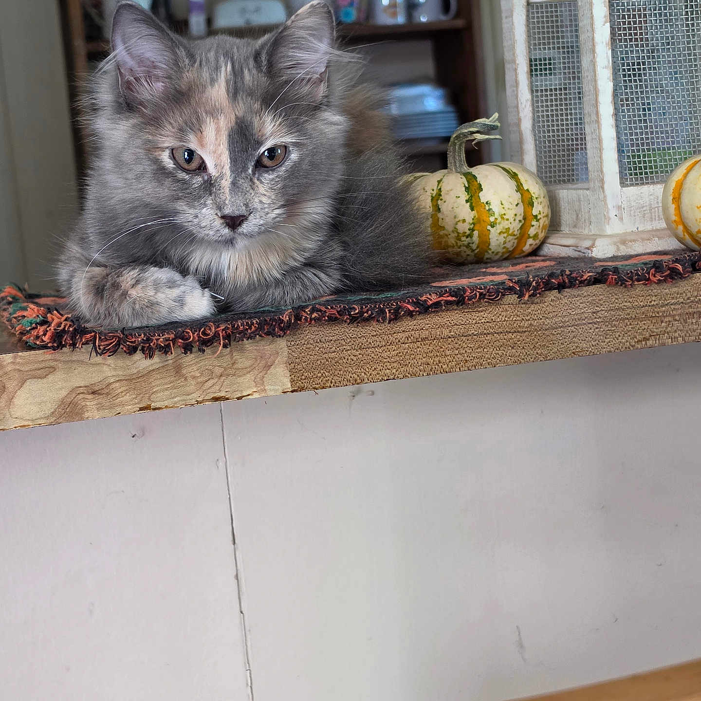 Peaches