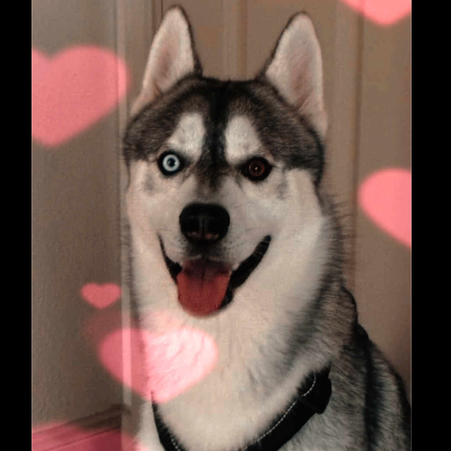 Luca