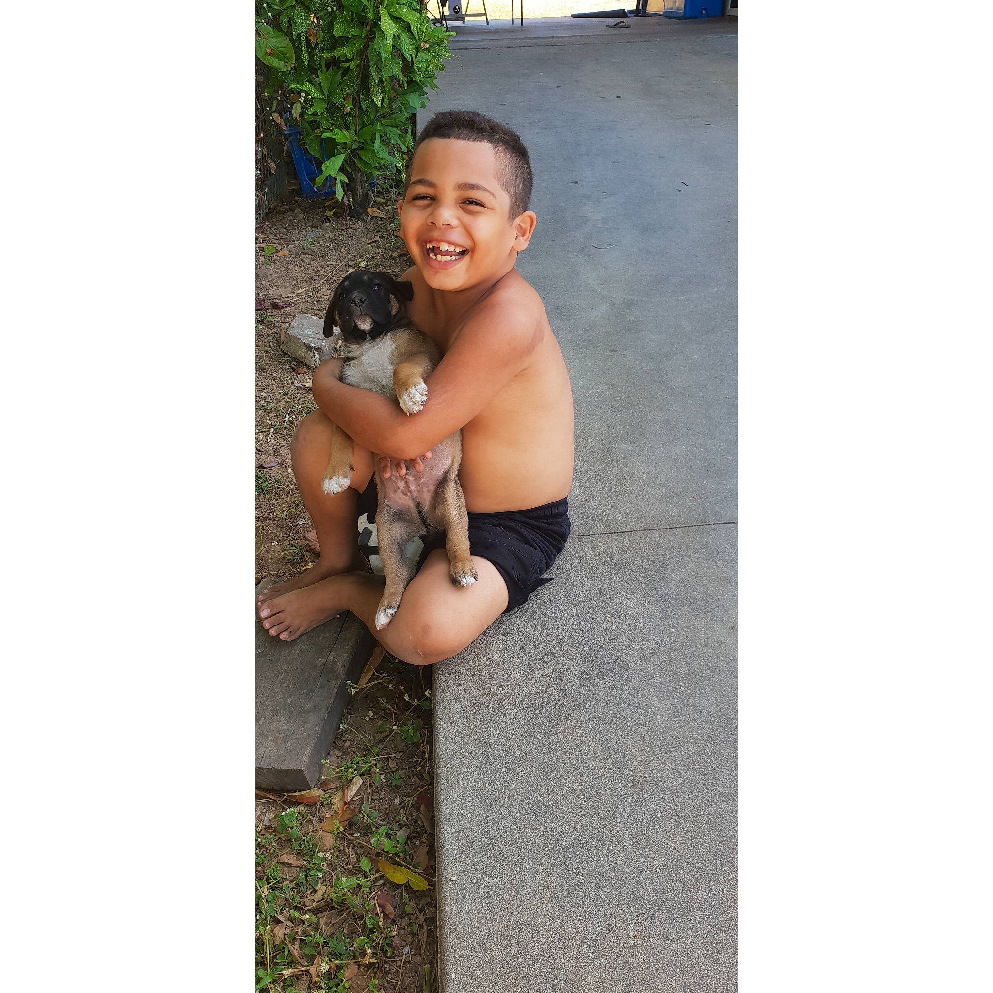 Trayzeke joined the competition — help win amazing prizes! arm, canidae, child, fawn, joy, person, toddler, vacation