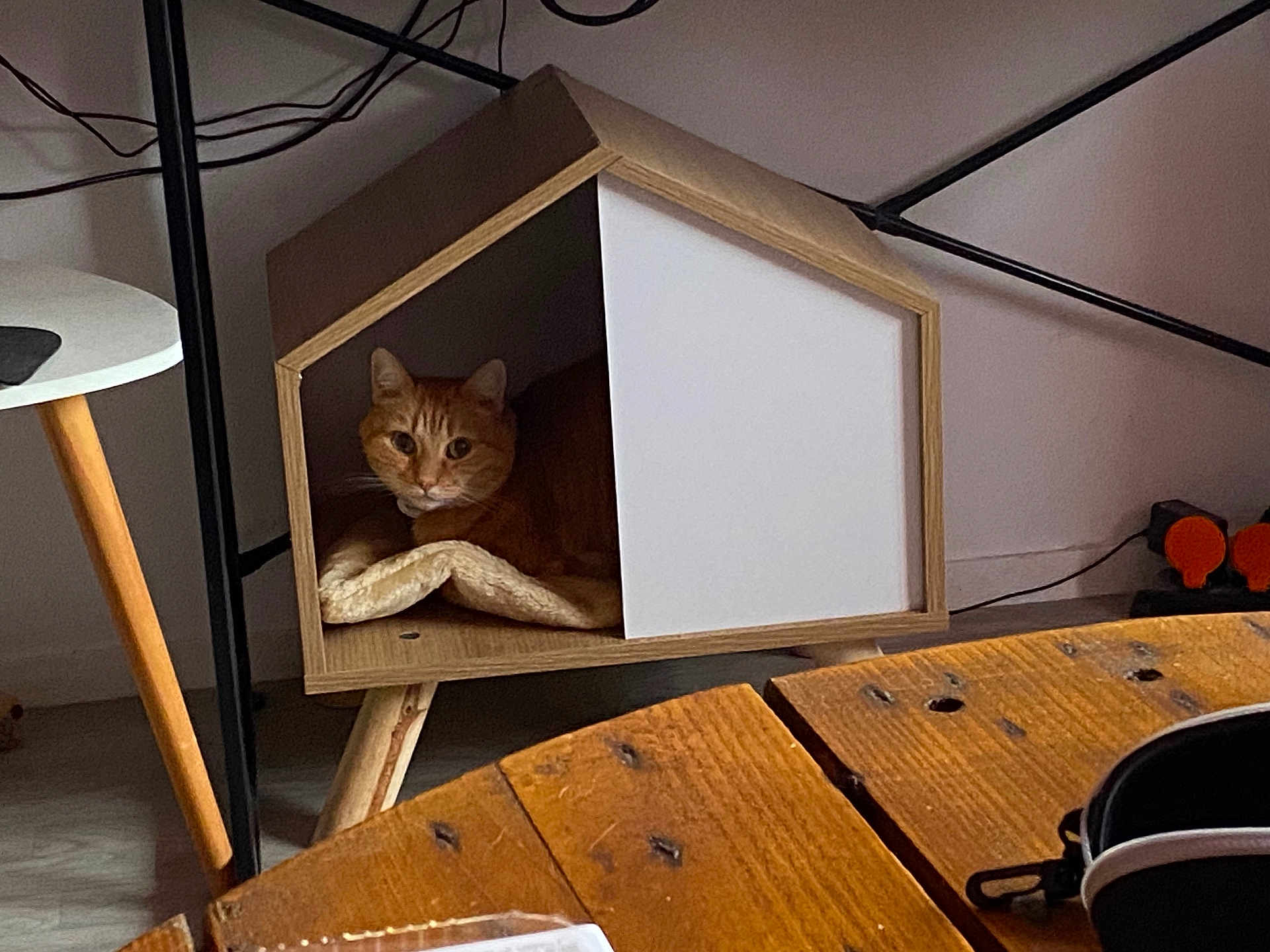 Garfield a rejoint le concours — aidez-le/la à gagner de superbes lots ! cat, orange_cat, pet_house, wooden_furniture, indoor, table, cords, plug, resting, cozy, furniture, floor, domestic, curious, animal, living_room, cat_face, pet, wood, relaxed