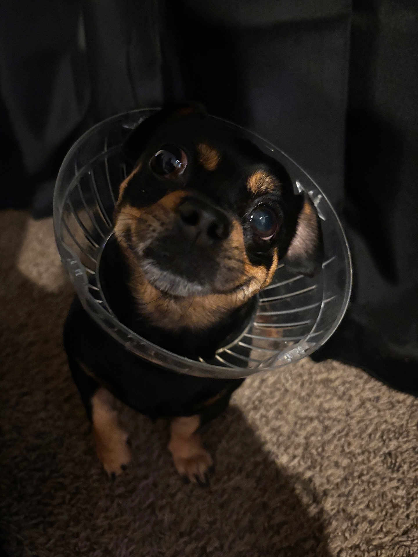 Little Man