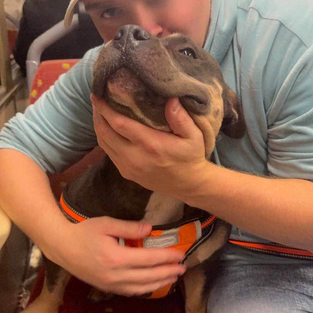 Sally participe au concours pour gagner de l'argent avec cette photo : animal, baseballcap, bulldog, canine, cap, clothing, dog, face, footwear, hat, head, hound, pants, person, pet, photography, portrait, puppy, shoe, t_shirt