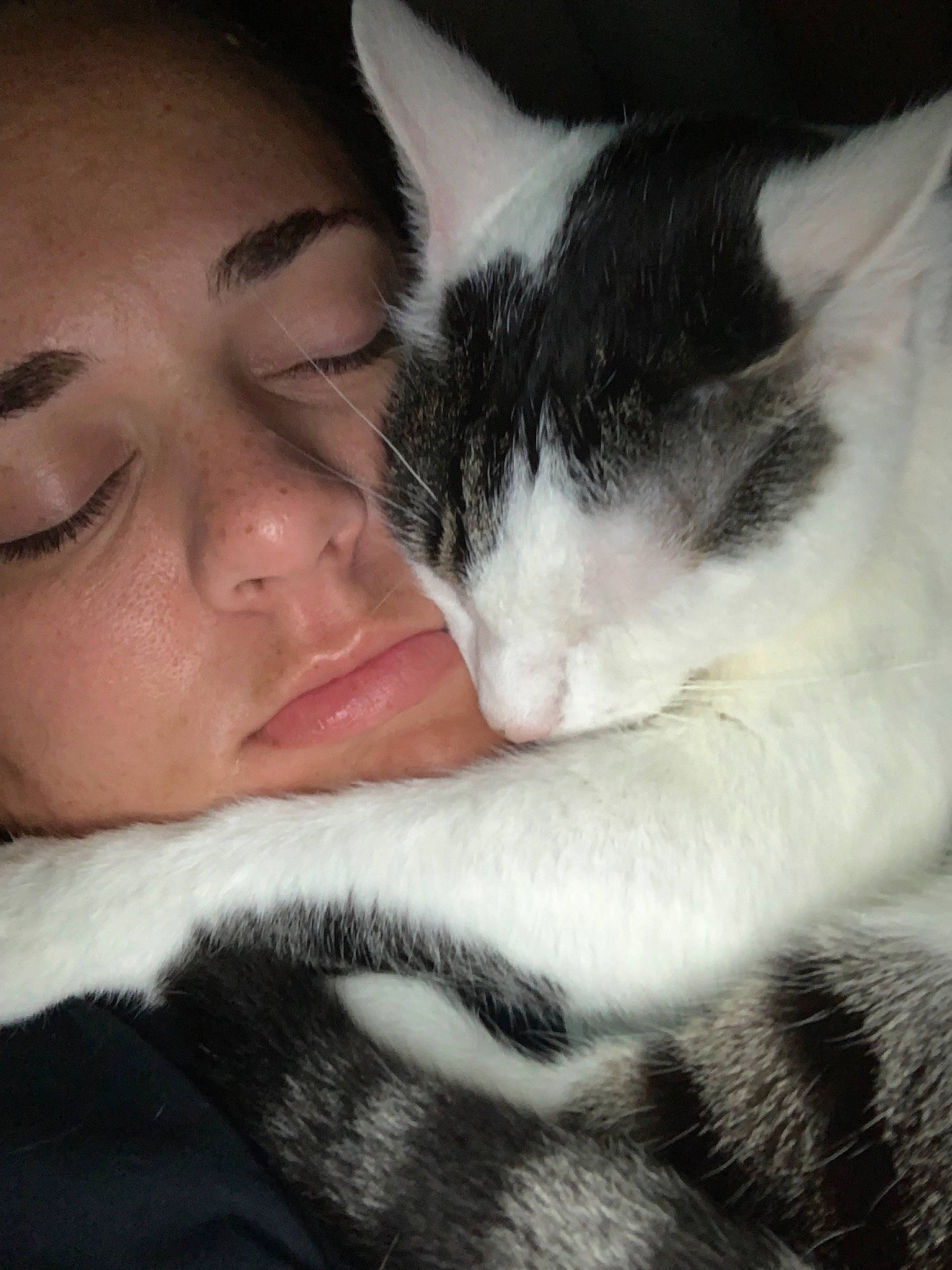 Gizmo is registered to the contest to win money with this photo: black_and_white, black_hair, carnivore, cat, domestic_short_haired_cat, ear, european_shorthair, eye, felidae, fur, gesture, kitten, nap, nose, polydactyl_cat, skin, sleep, small_to_medium_sized_cats, snout, whiskers