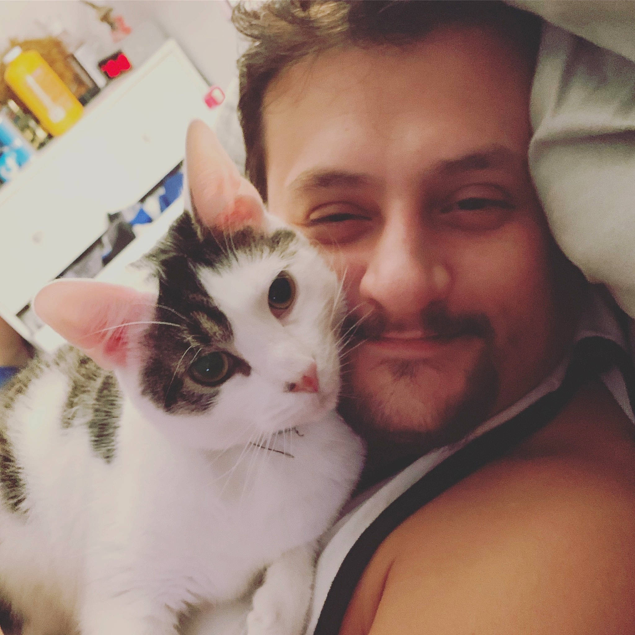 Gizmo joined the competition — help win amazing prizes! cat, cheek, ear, eye, eyebrow, face, felidae, forehead, fur, hair, head, human, iris, mouth, nose, photography, selfie, skin, small_to_medium_sized_cats, whiskers