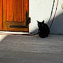 Opie a rejoint le concours — aidez-le/la à gagner de superbes lots ! animal, animal_eyes, black_cat, cat, concrete_floor, contrast, cord, daylight, door_hinge, outdoor, patio, pet, quiet, shadow, silhouette, still_life, sunlight, texture, wall, wooden_door
