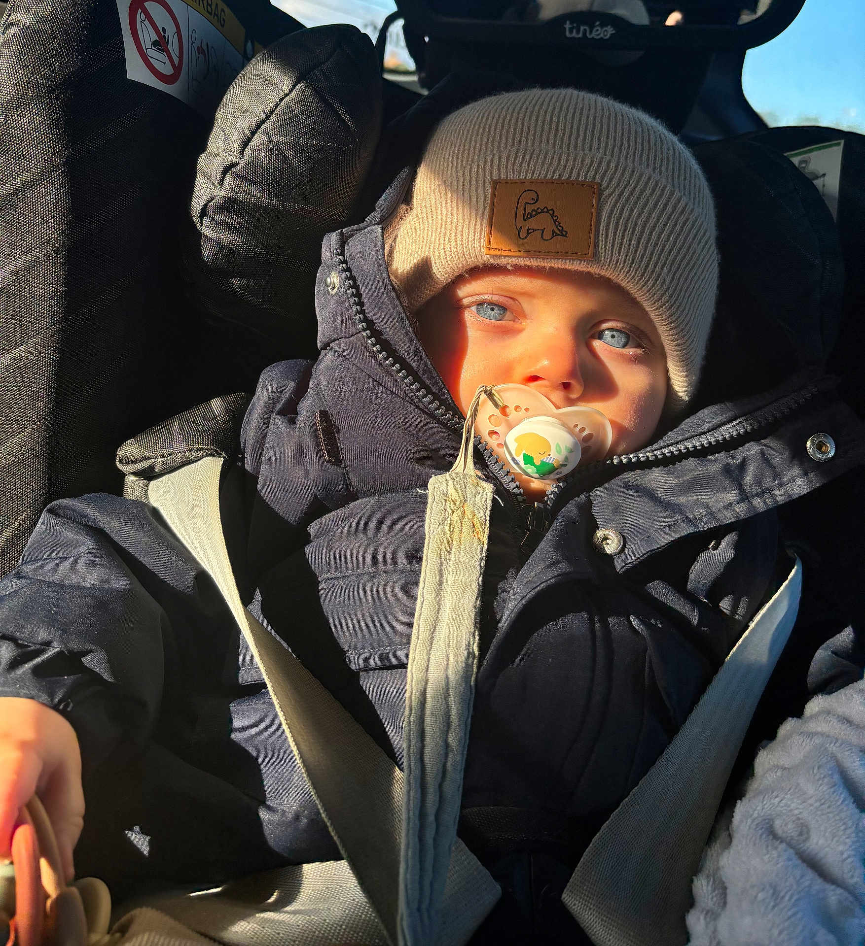 Léon participe au concours pour gagner de l'argent avec cette photo : baby, child, car_seat, pacifier, blue_eyes, beanie, jacket, seatbelt, sunlight, indoors, portrait, winter_clothing, cute, infant, close_up, face, young_child, warm_clothing, dinosaur_patch, car_interior