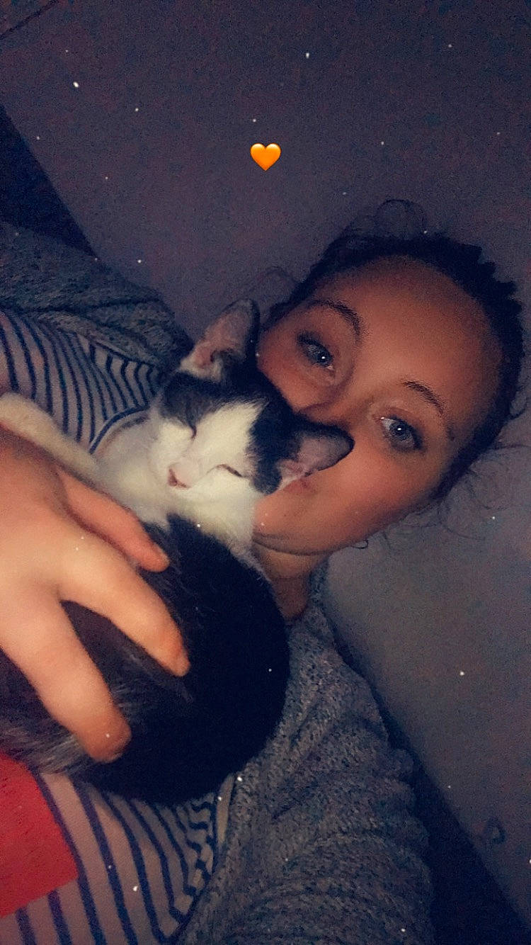 Teuchy participe au concours pour gagner de l'argent avec cette photo : beard, black_hair, carnivore, cat, cool, dress, eyebrow, fawn, felidae, finger, gesture, hand, happy, iris, lap, mouth, nail, nose, small_to_medium_sized_cats, whiskers