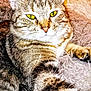 cat, tabby, feline, pet, animal, close_up, fluffy, texture, relaxed, sleepy, green_eyes, fur, whiskers, indoor, cozy, resting, cute, domestic_animal, mammal, portrait