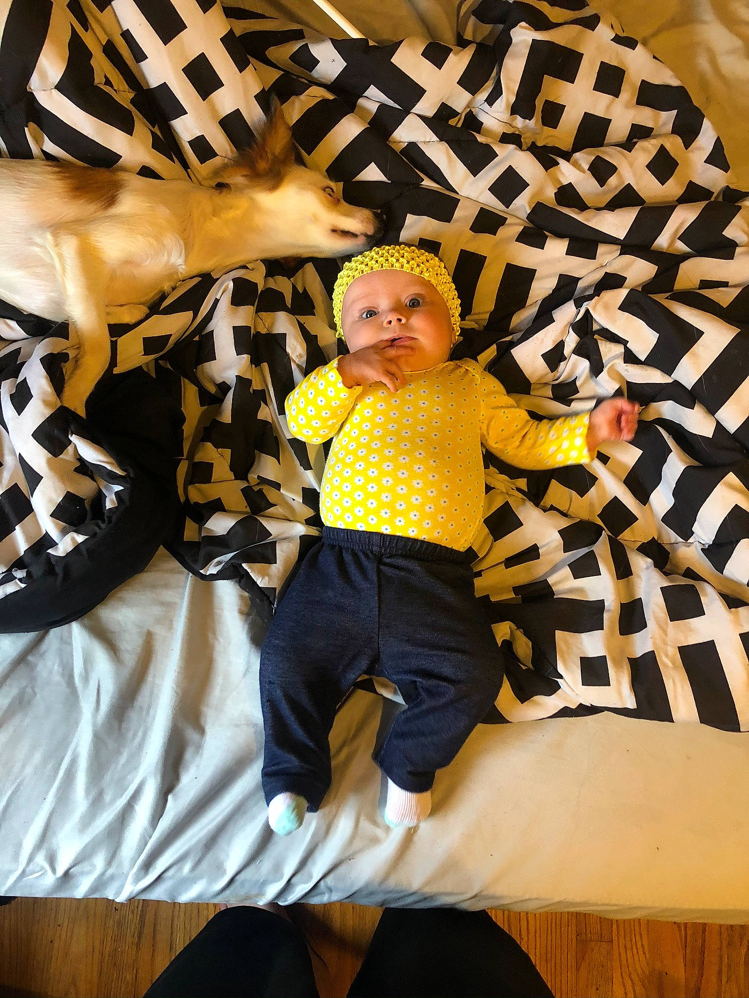 Skyla joined the competition — help win amazing prizes! art, child, fun, headwear, person, t_shirt, textile, yellow