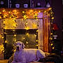 dog, white_dog, fireplace, string_lights, ivy, plant, indoor, living_room, lamp, decor, pet_bed, cozy, relaxing, wood, tile, furniture, home, animal, calm, resting