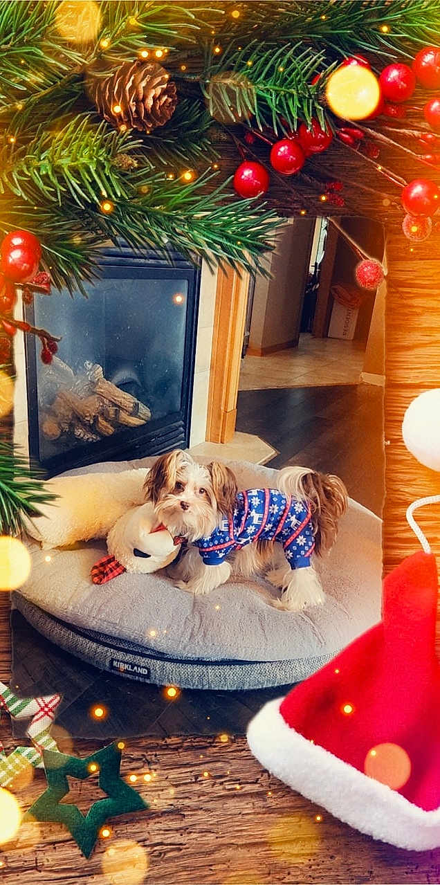 Roscoe