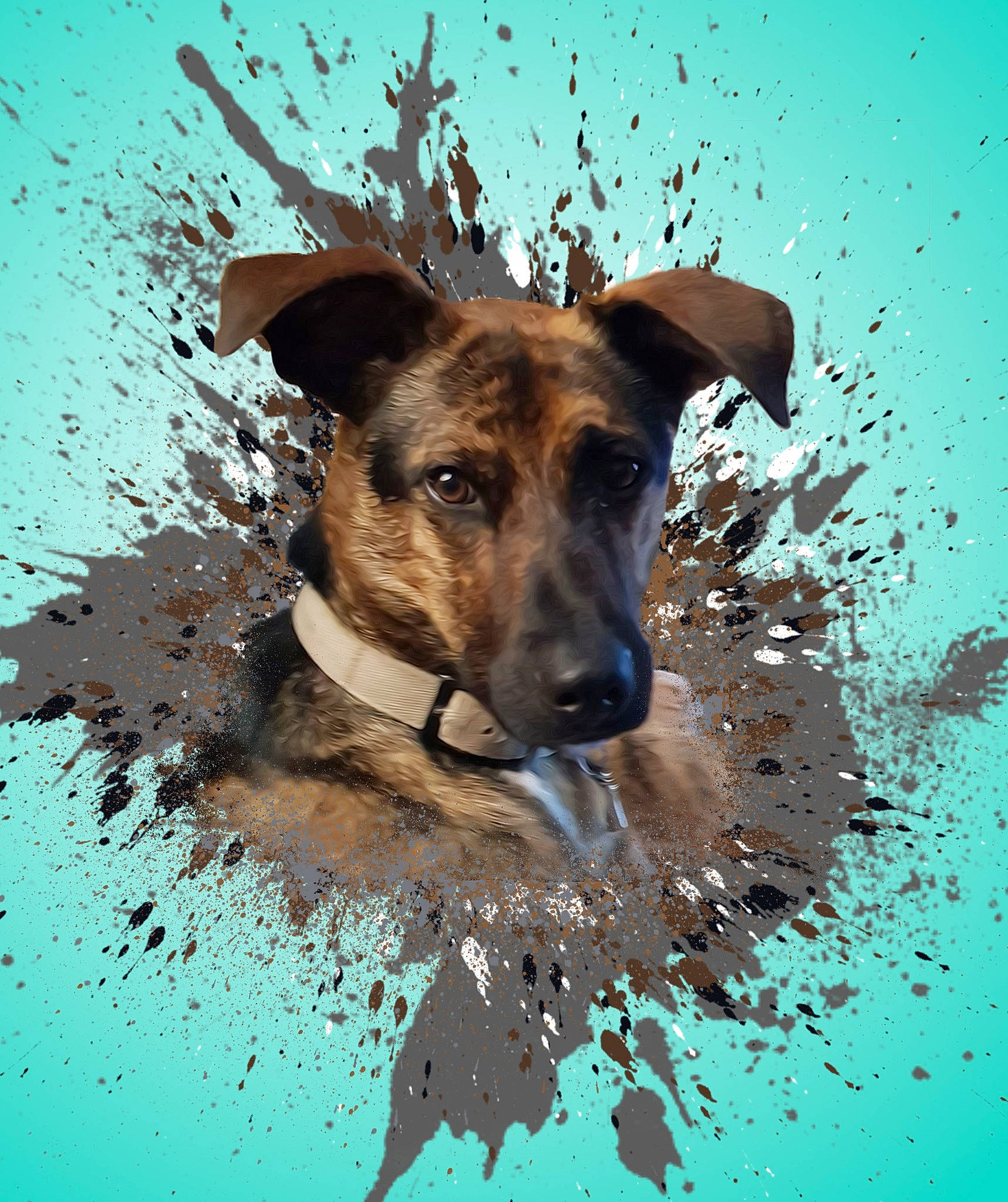 Yoni a rejoint le concours — aidez-le/la à gagner de superbes lots ! art, canidae, carnivore, circle, companion_dog, dog, dog_breed, drop, fawn, fluid, happy, liquid, plant, reflection, snout, sporting_group, water, working_animal, working_dog