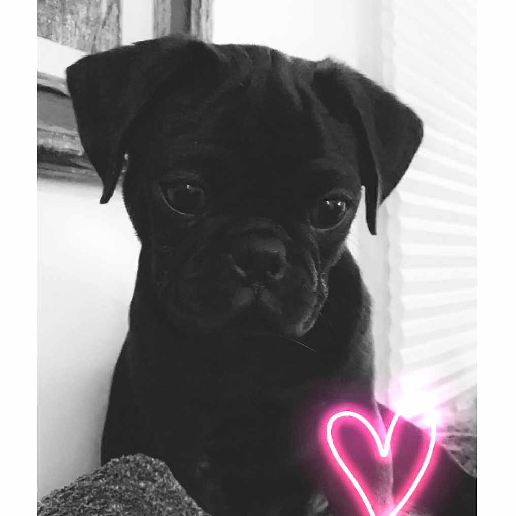 Marley