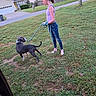 Luca is registered to the contest to win money with this photo: girl, child, dog, pet, leash, walking, outdoor, suburban, lawn, grass, house, sidewalk, fence, mailbox, portrait, profile, pony_tail, jeans, sneakers, daylight