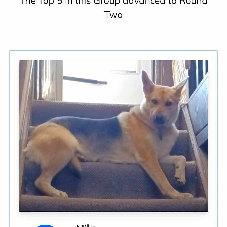 Mila