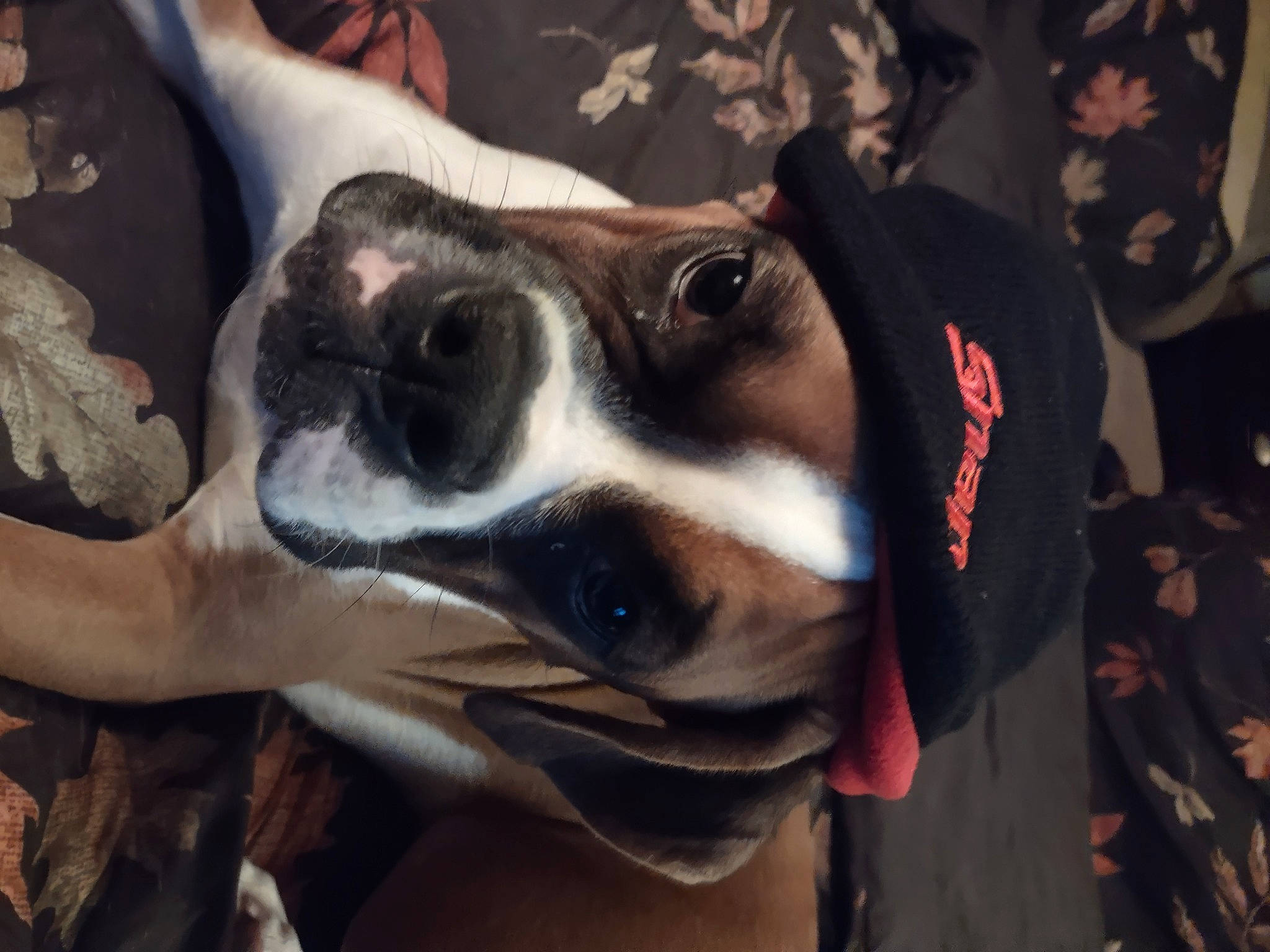 Venus Elizabeth Vargas