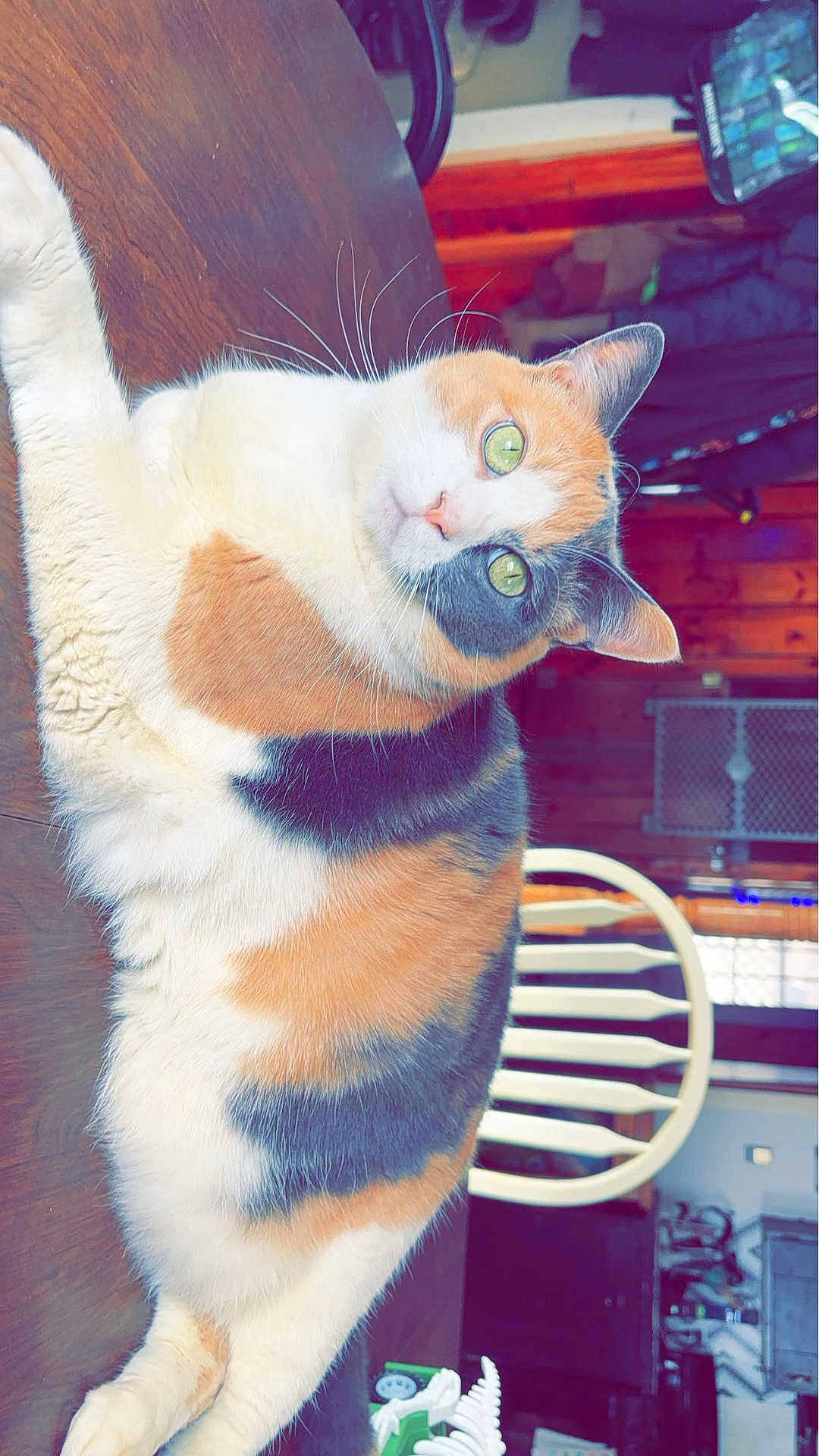 Winnie