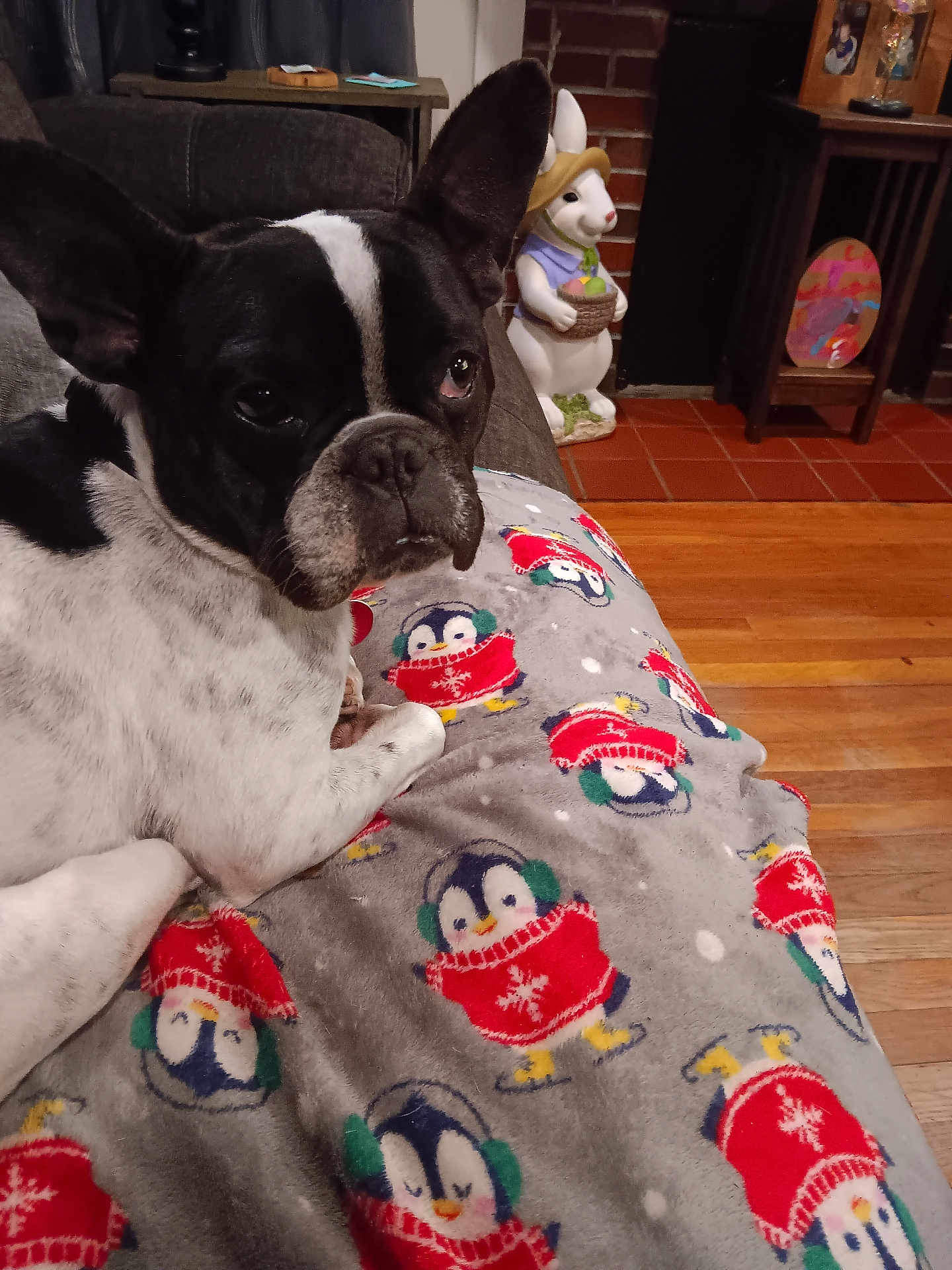 Harley