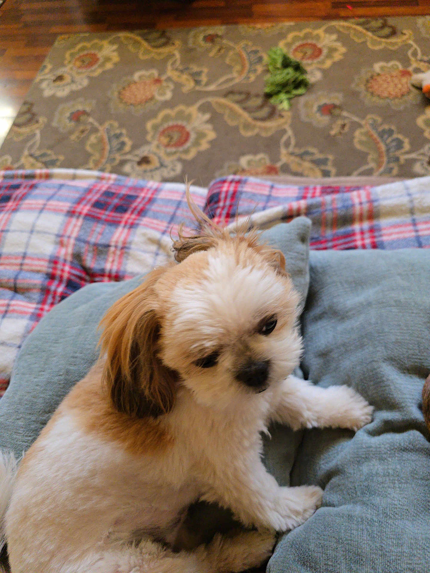 Fluffy