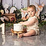 baby, child, cake, birthday, number_one, wooden_stand, forest_backdrop, decorations, cute, indoor, sitting, curious, frosted_cake, animal_illustrations, lighting, reflection, portrait, celebration, smile, one_year_old