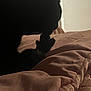Sushi joined the competition — help win amazing prizes! cat, silhouette, paw, blanket, bed, soft, cozy, indoor, animal, pet, feline, shadow, dark, quiet, resting, comfort, fur, closeup, muzzle, whiskers