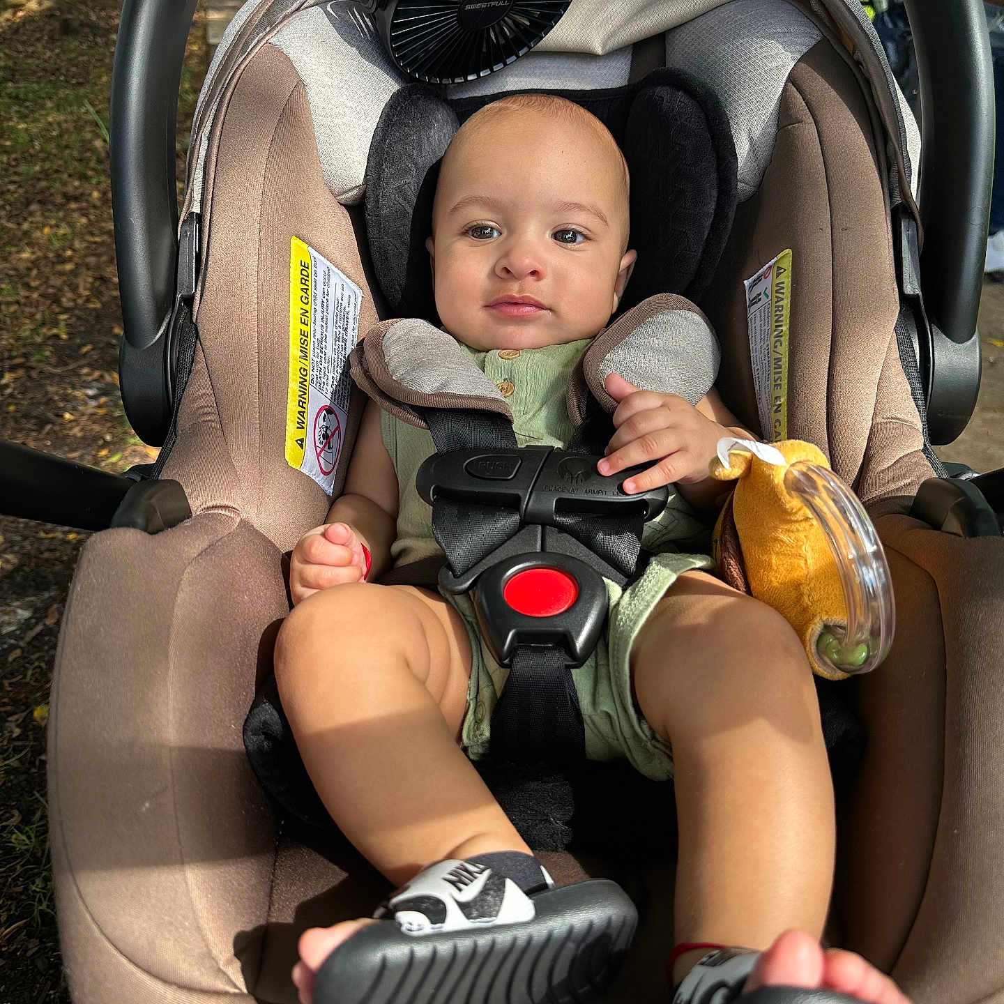 Liam is registered to the contest to win money with this photo: baby, car_seat, child, clothing, cute, fan, footwear, greenery, infant, nike, outdoor, park, person, shoes, sitting, straps, summer, sunlight, toy, trees