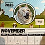 2025, animal, calendar, cartoon_dogs, closeup, date, dog, fluffy_dog, funny_expression, green_background, month, november, outdoor_background, paper, pet, pet_name, portrait, smiling_dog, spiral_binding, text