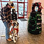 Riptide is registered to the contest to win money with this photo: baseball_cap, boots, bow, car_outside, dog, entrance_mat, garland, holiday_decor, indoor, leash, man, orange_harness, person, plaid_shirt, saint_bernard, showroom, tile_floor, tire_stack, waiting_area, window