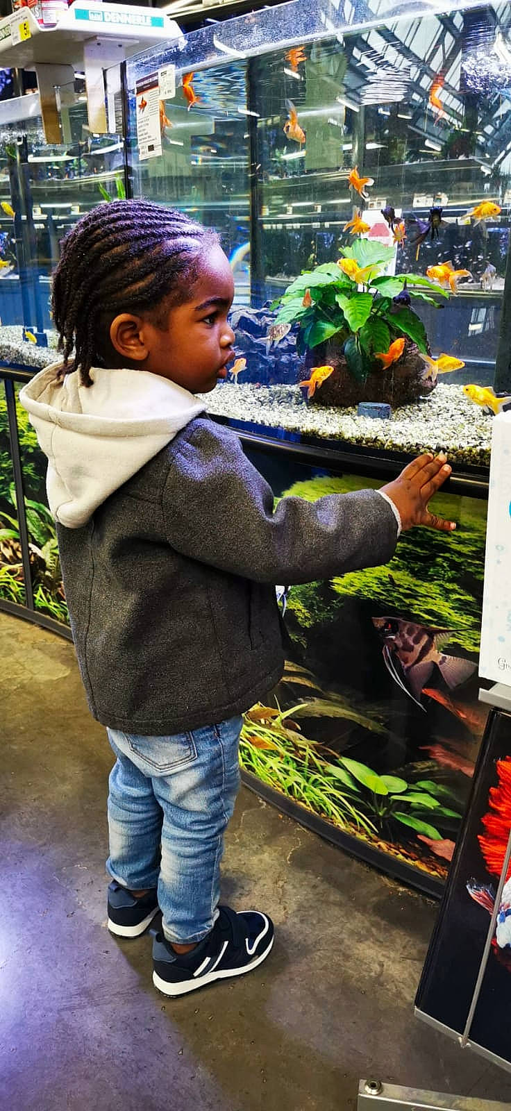 Celinïo a rejoint le concours — aidez-le/la à gagner de superbes lots ! annual_plant, child, city, floristry, flower, garden, grass, greengrocer, hawker, jeans, leaf_vegetable, leisure, local_food, market, natural_foods, person, plant, toddler, trade, vegetable