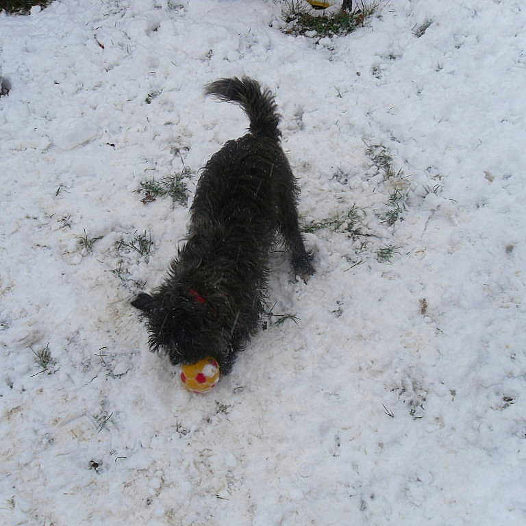 Raggy joined the competition — help win amazing prizes!