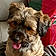 Chloe