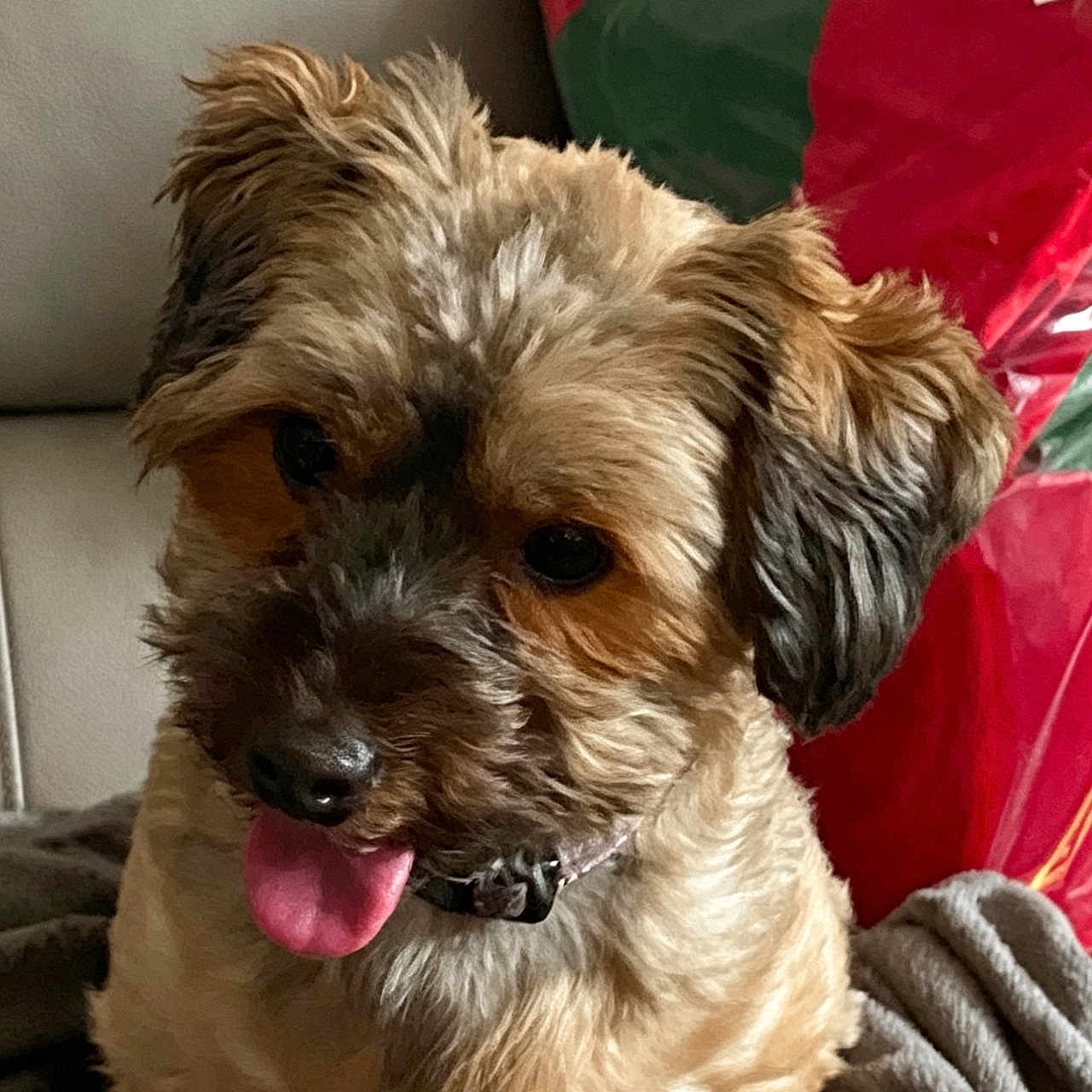 Chloe